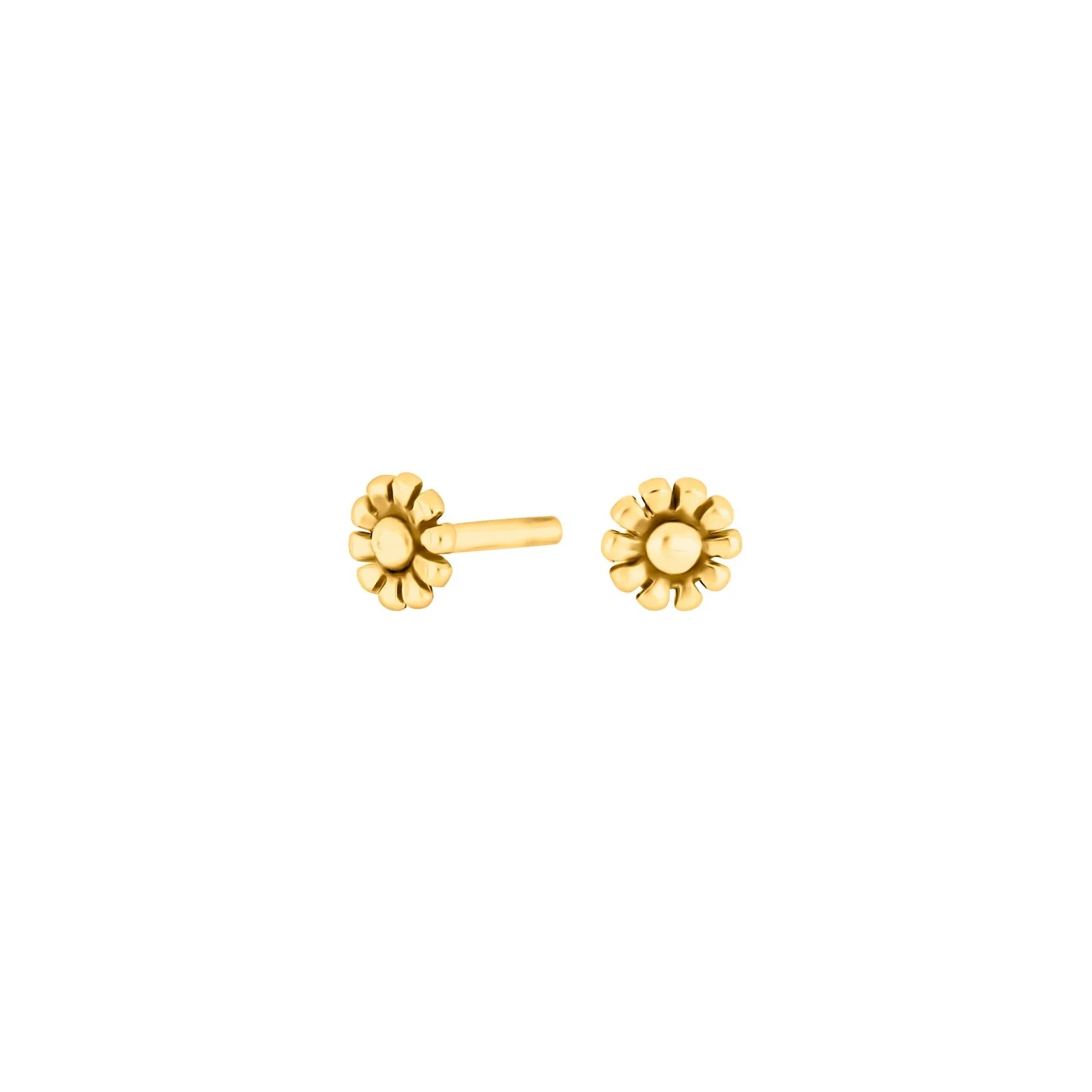 Sølvørestikker blomst